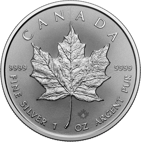 Strieborná minca Maple Leaf 2025, 1 oz