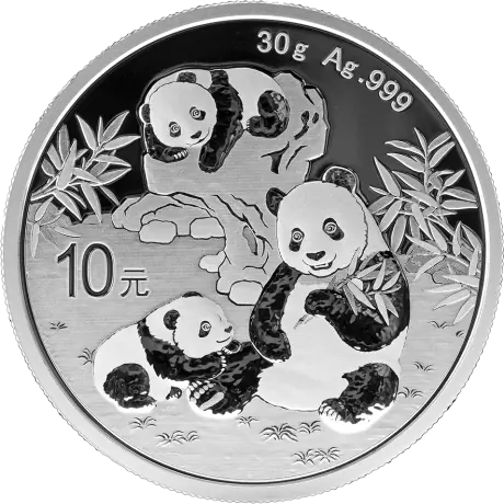 Stříbrná mince Panda 2025, 30 g