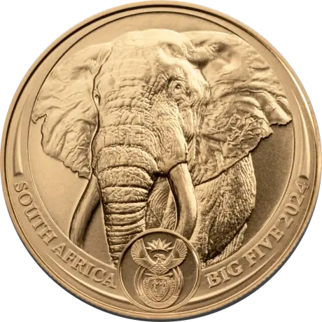 Zlatá minca Slon 2024 - Big Five, 1 oz