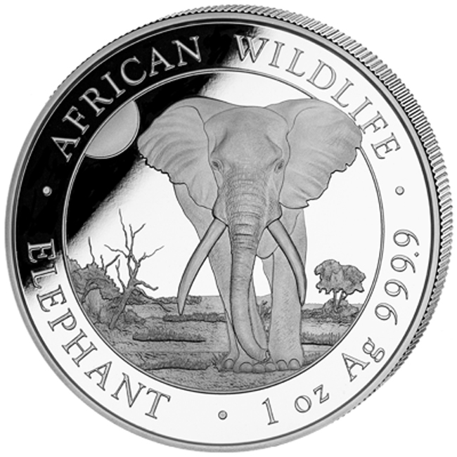 Slon 2025 (série Africká divoká příroda), 1 oz stříbra