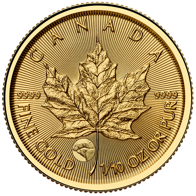 Vzácný Maple Leaf - Lední medvěd 2025, 1/10 oz zlata v blistru