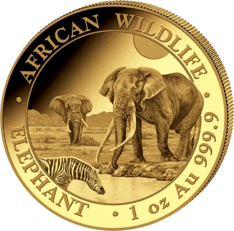 Zlatá minca Slon Somálský 2026, 1 oz